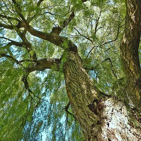 Near Alabaster Coast Beaches بيت للعطل